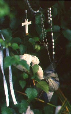 Doun Well, a prayer tree on the way to Letterkenny