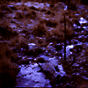 The Gap by night